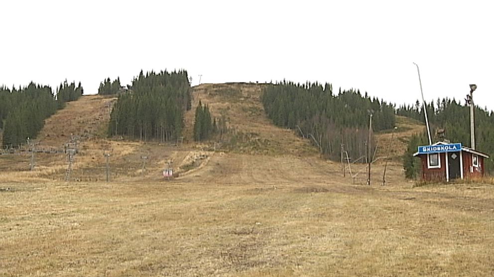 Helt snöfritt i backarna i Säfsen i Dalarna den 30 oktober.