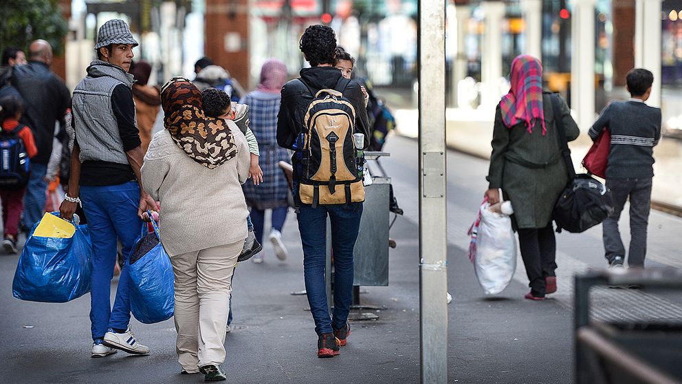 Afghaner, syrier och irakier är de största grupperna.