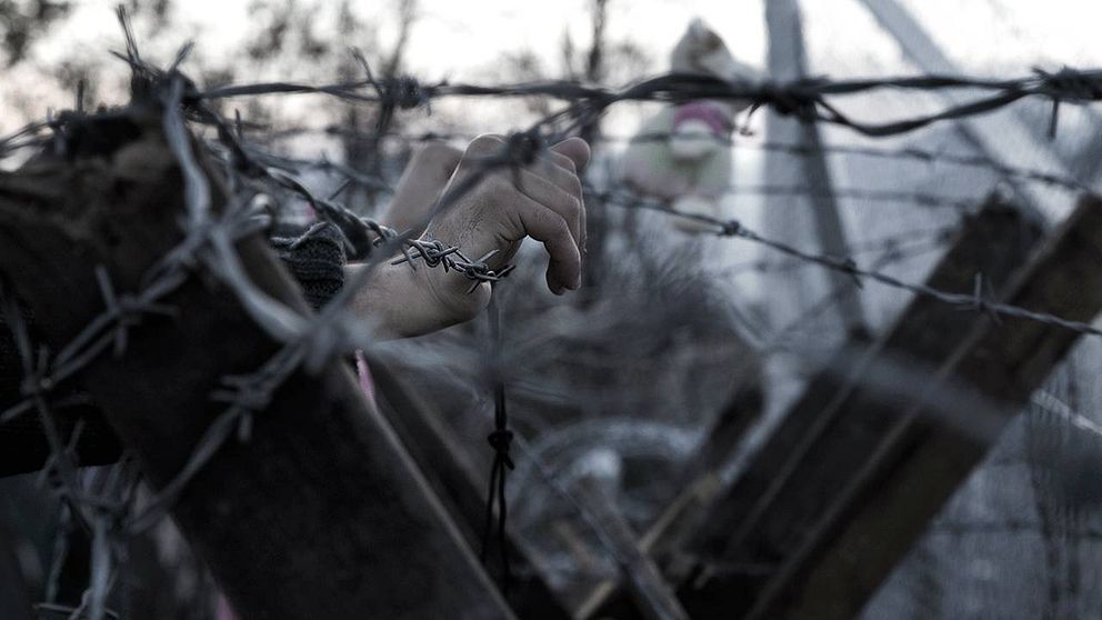 Vass taggtråd och stängsel håller flyktingarna kvar på den grekiska sidan av gränsen mellan Grekland och Makedonien.