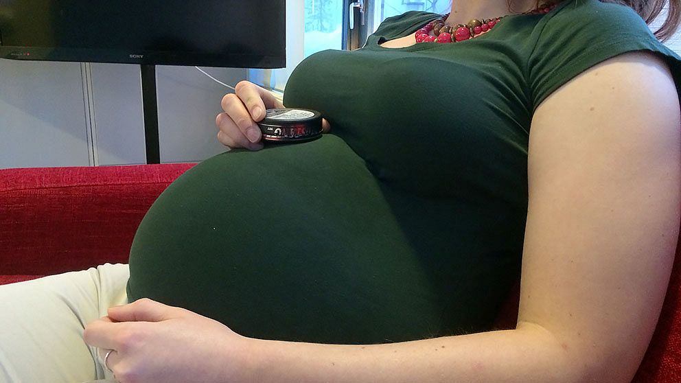 gravid, snus