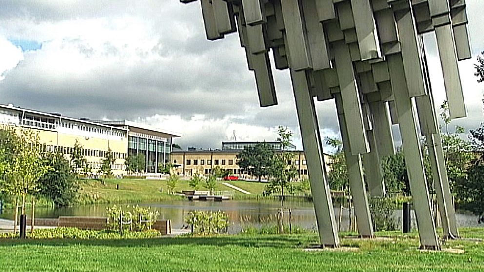 umeå universitet