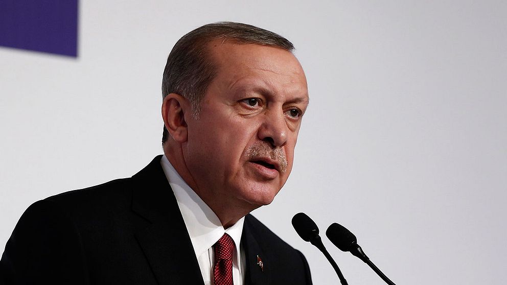 Turkiets president Recep Tayyip Erdoğan nämner Hitlertyskland som ett exempel på ett effektivt politiskt system.