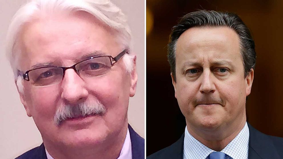 Polens utrikesminister Witold Waszczykowski (tv) och Storbritanniens premiärminister David Cameron.