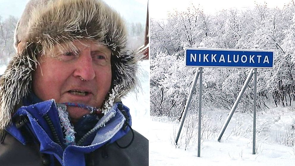Reportern frös när SVT besökte Nikkaluokta förra året – men Olle Sarri har hö i vantarna.