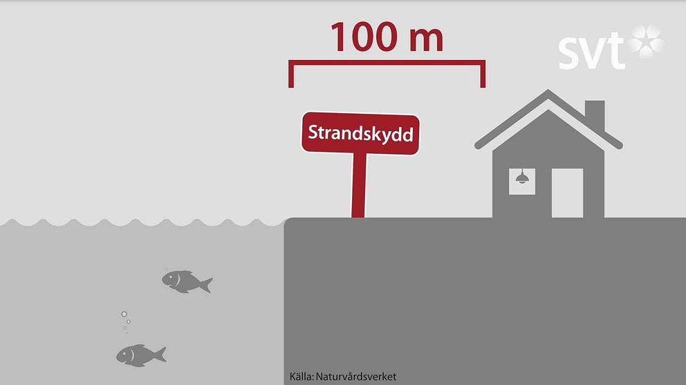 Allt fler får bygga strandnära | SVT Nyheter