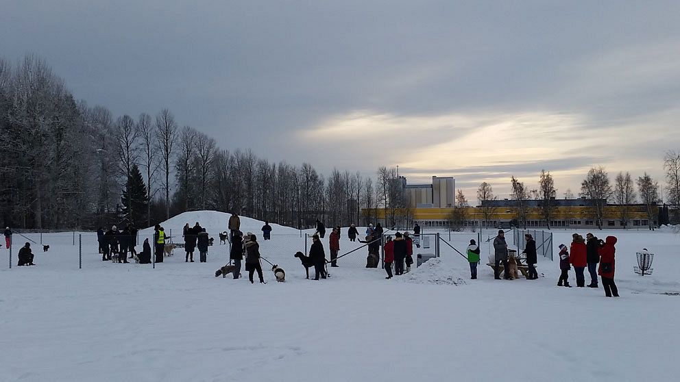 Ett 40-tal hundar med ägare inviger hundlekplatsen i Kumla.