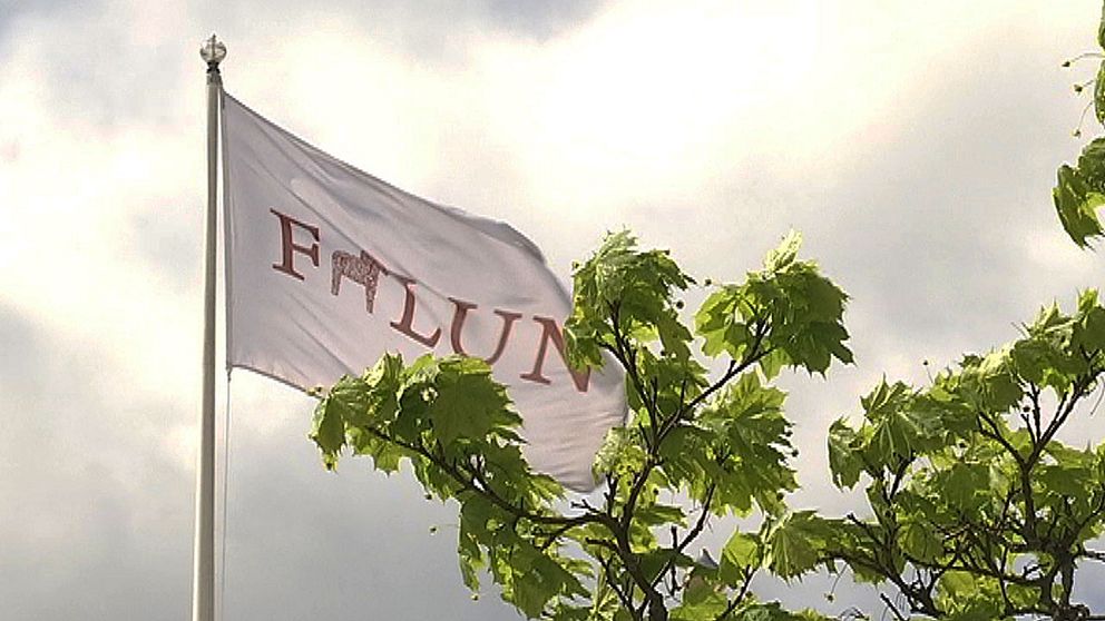 Falu kommuns flagga.