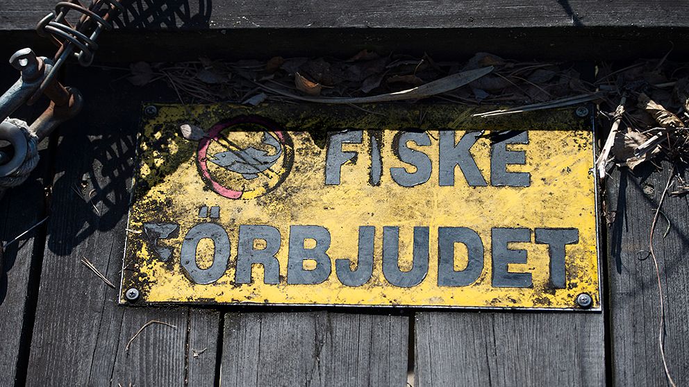 En före detta SHL-spelare från Ångermanland har dömts för tjuvfiske.