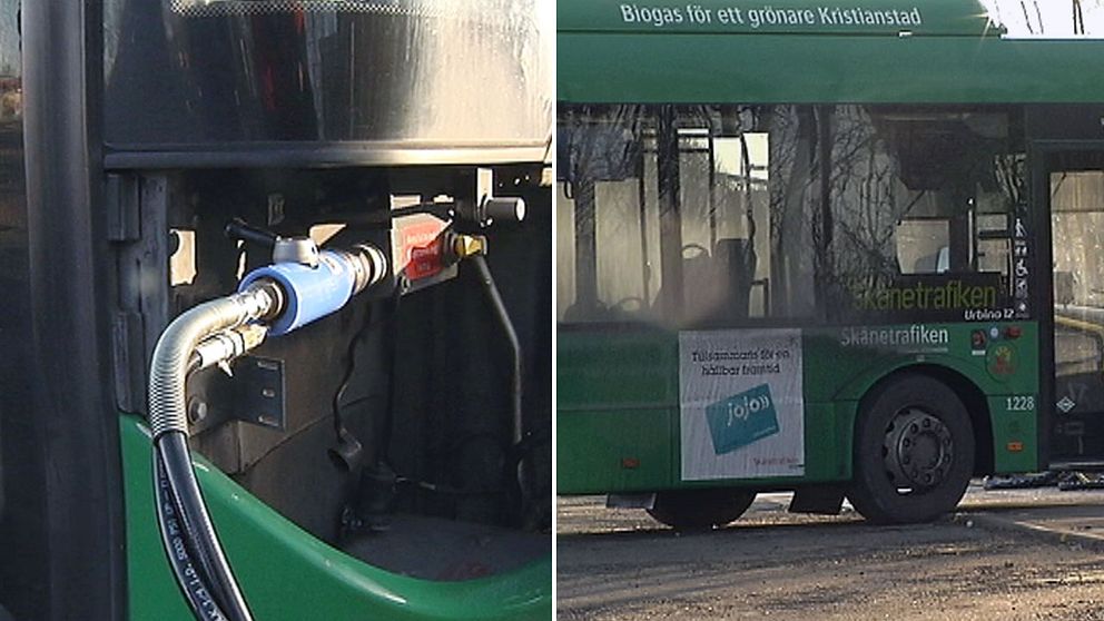 Grön el hot mot biogasbussar