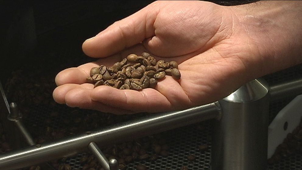 kaffebönor i hand