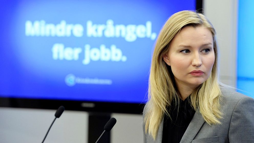 Kristdemokraternas partiledare Ebba Busch Thor presenterar ett nytt jobbförslag under en pressträff i riksdagen.