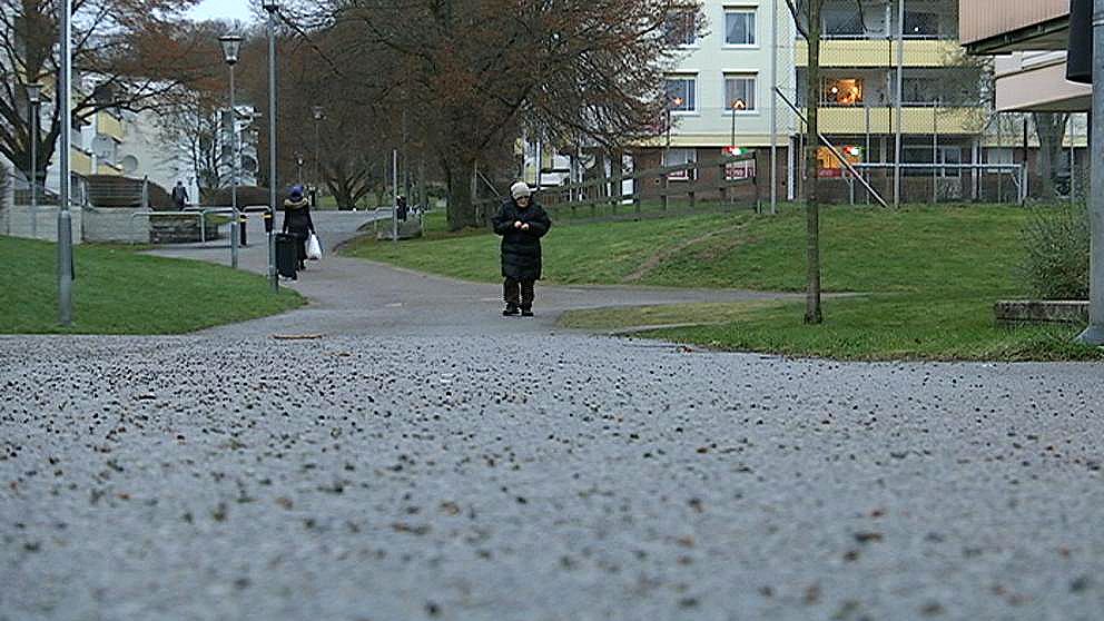 Araby ett särskilt utsatt område enligt polisen.