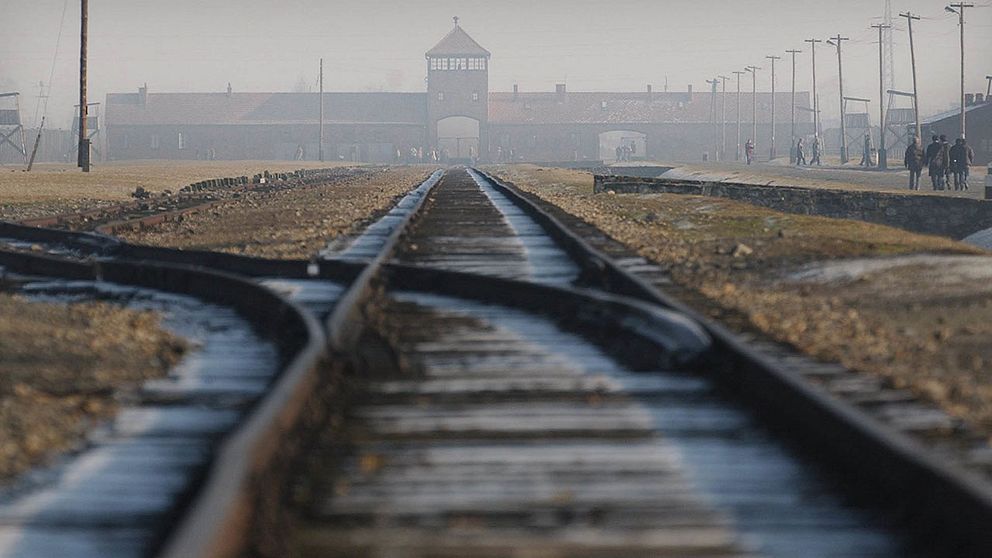 Tågspåret in till förintelselägret Auschwitz.