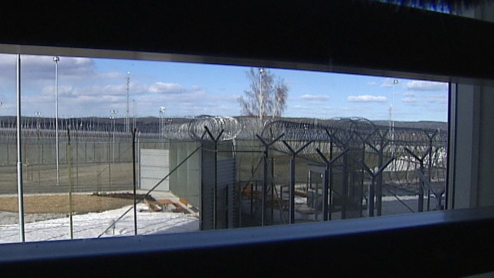 Vid en närvarokontroll på Saltviksfängelset i höstas upptäcktes att två häktade felaktigt låsts in i samma cell.