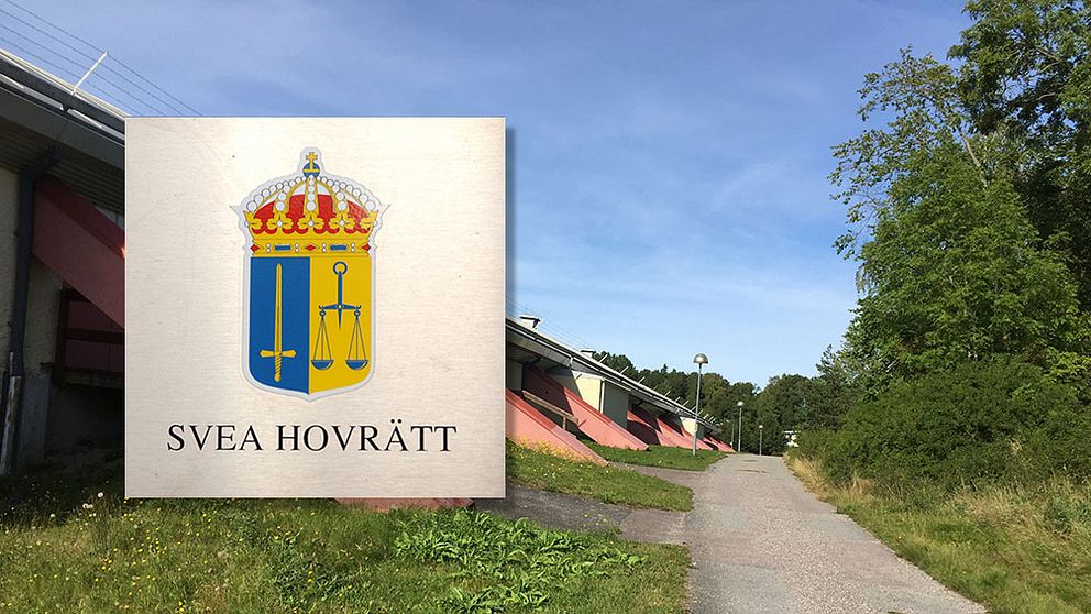 svea hgovrätt dubbelvåld