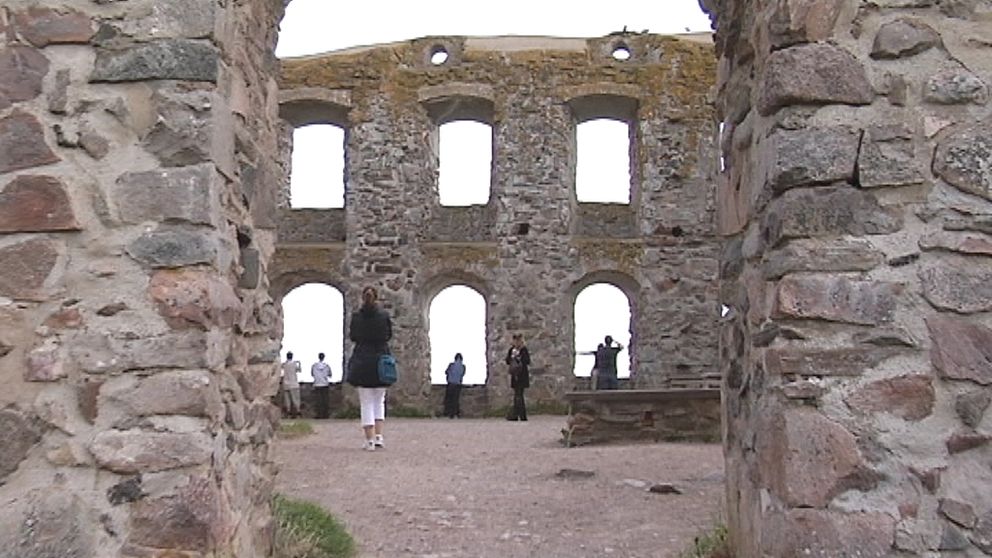brahehus