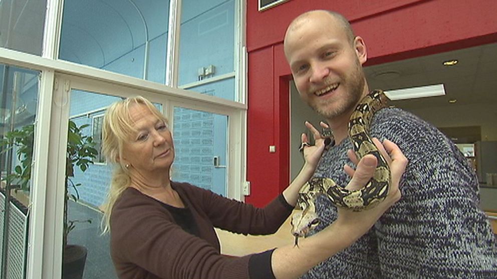 SVT:s reporter Christopher Gimling Shaftoe blev botad från sin ormskräck