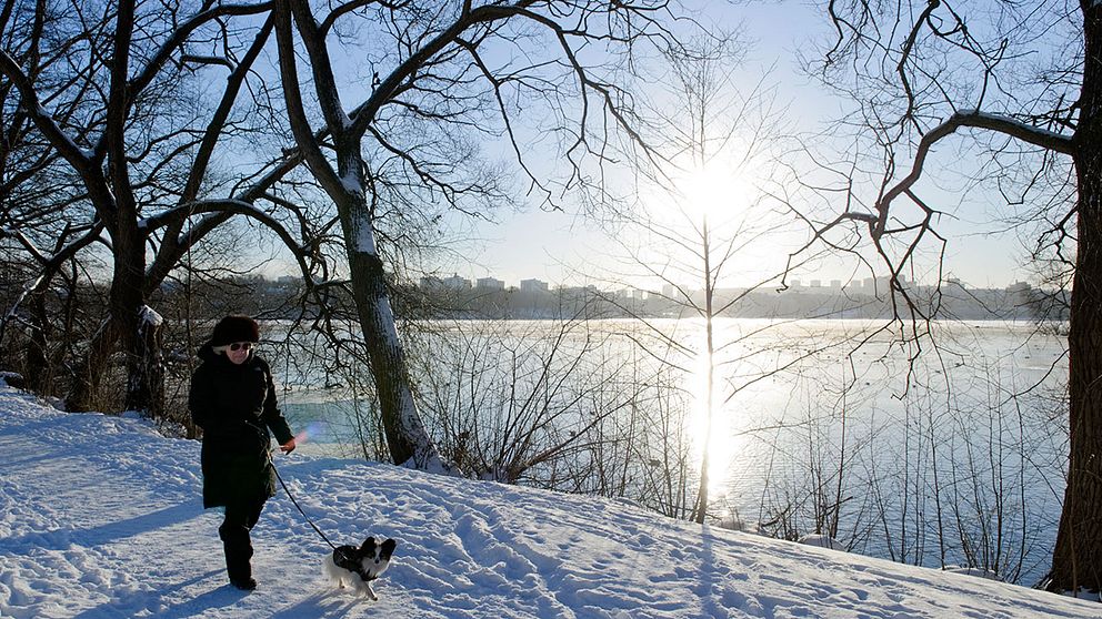En kvinna promenerar med sin hund längs vattnet.
