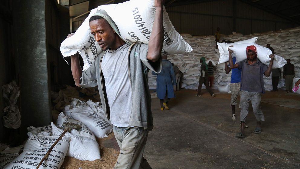Torkan förvärras i Etiopien – behov av nödhjälp till miljoner människor.