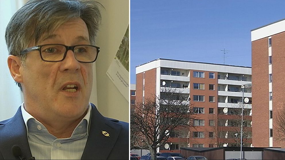 Terence Fell är lektor i statsvetenskap på Mälardalens Högskola.