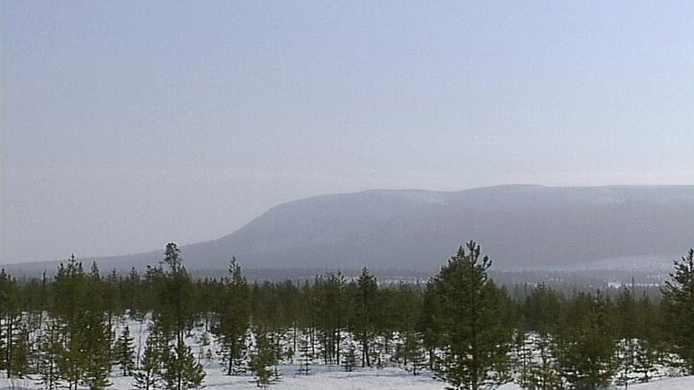 Berg och gles skog