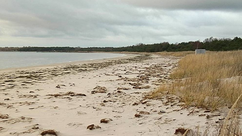 Strand på Gotland