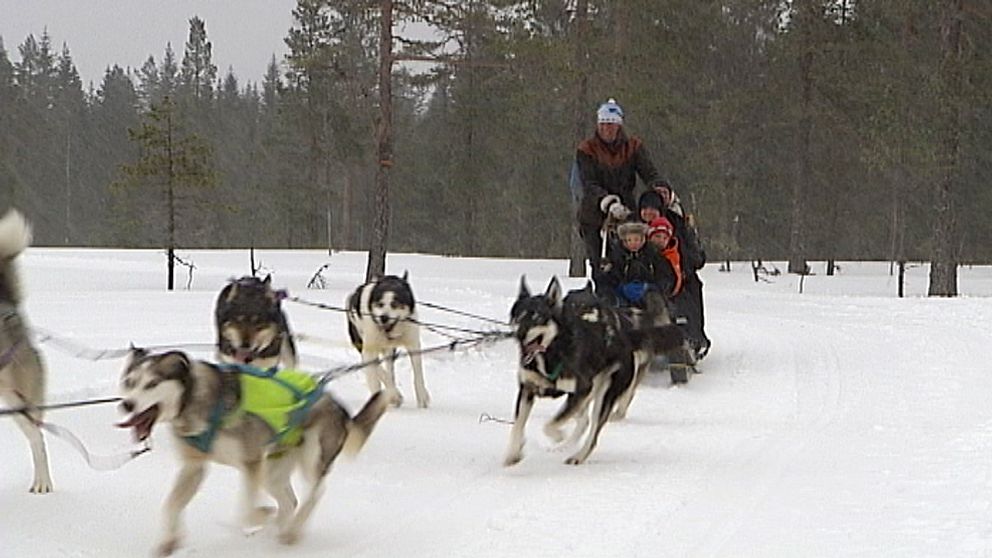 sportlov, hundspann, Branäs