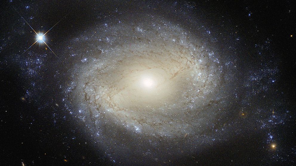 Hubbles bild på en galax 70 miljoner ljusår bort.