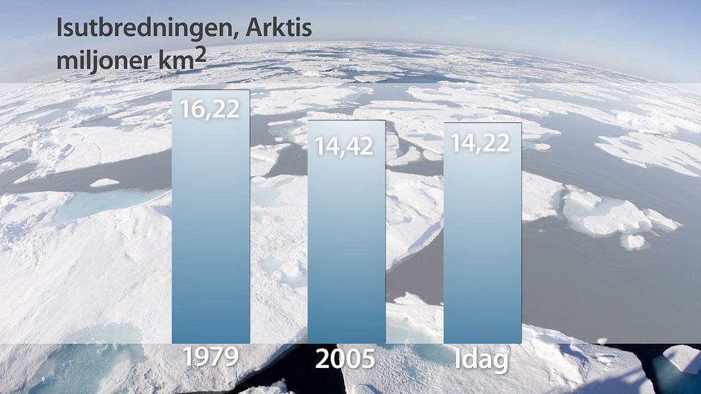 Isutbredning i Arktis under februari månad. Sedan 1979 har isytan minskat med två miljoner kvadratkilometer.