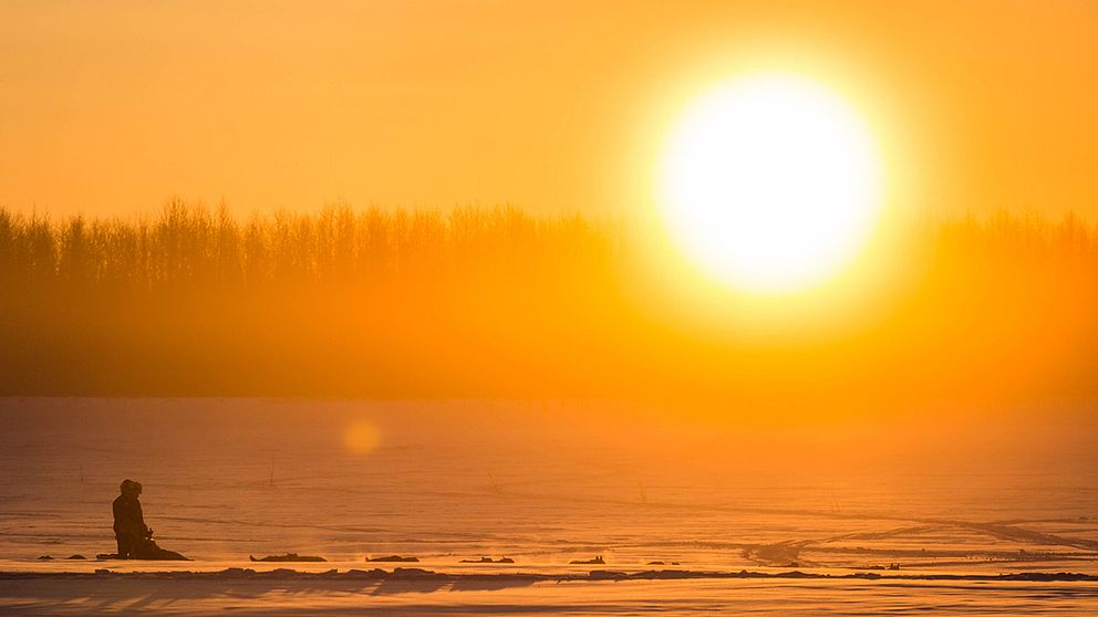 Stor sol lyser över snövidder i Alaska.