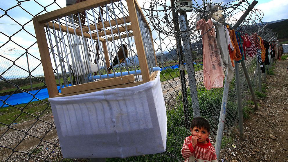 Ett flyktingbarn med en fågelbur i ett läger i Turkiet.