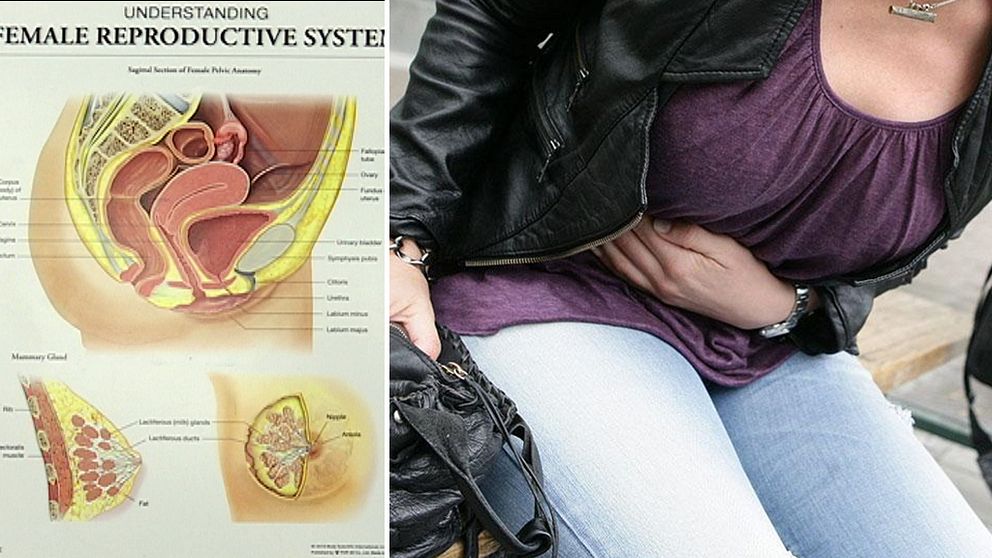 till vänster en bild av en kvinnokropp ”inuti” till höger en bild på en kvinna´med svart skinnjacka som tar sig för magen
