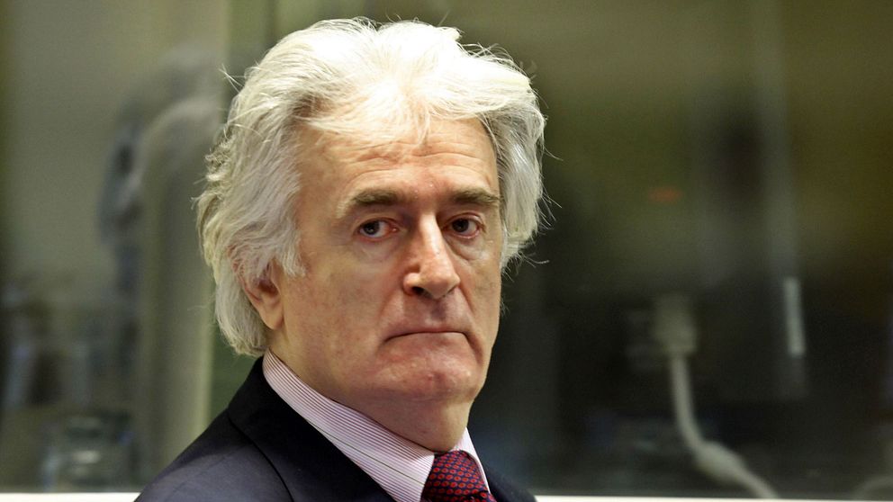 Karadzic i domstolen