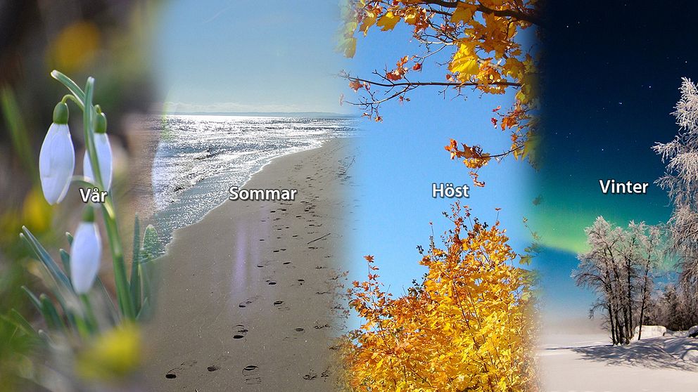 Årstider | SVT Nyheter