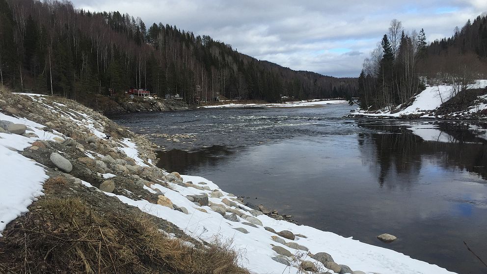 Allstaforsen i Ljungan nedströms Viforsens kraftverk.