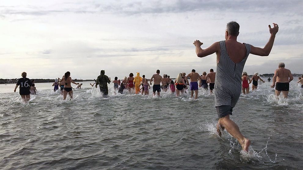 Flera personer springer ut i kallt vatten vid en strand i Varberg.