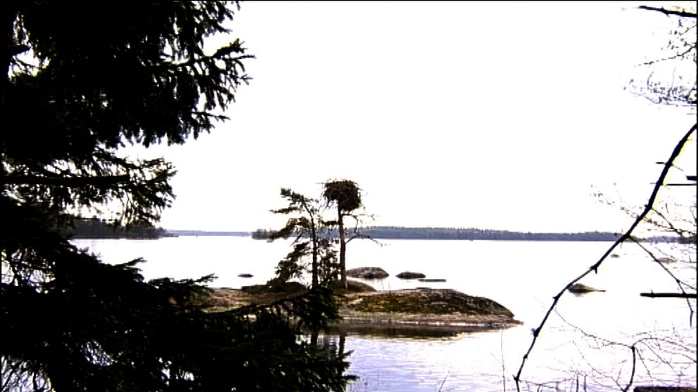 Åsnen