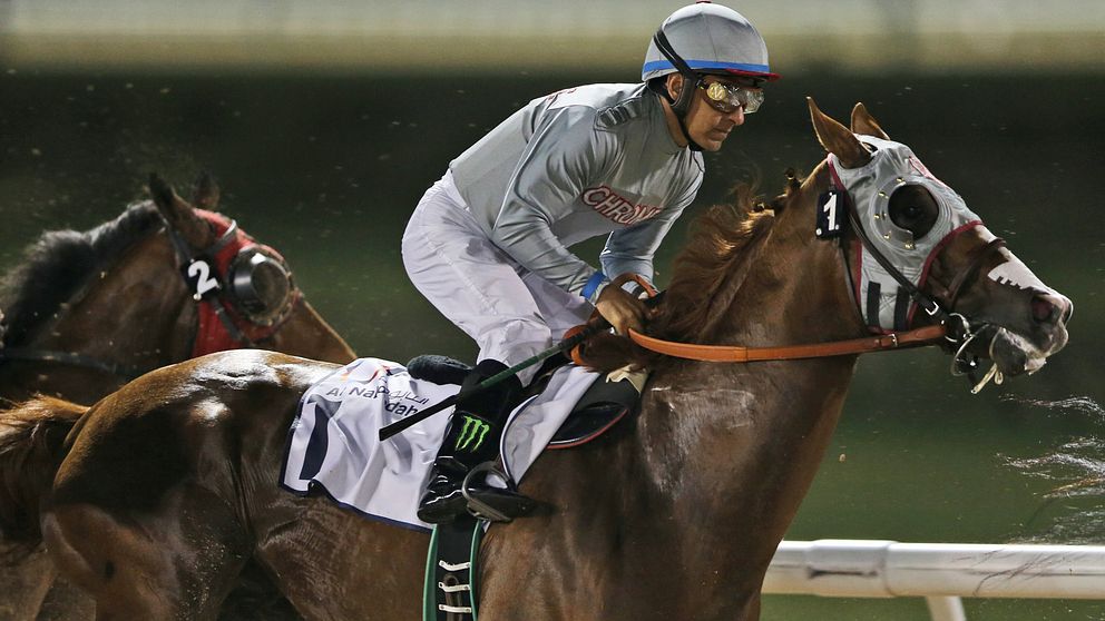 California Chrome med jockeyn Victor Espinoza segrare i Dubai World Cup.