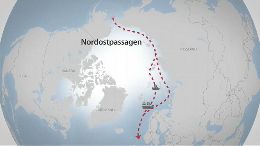 Grafik som visar fartygs väg genom Nordostpassagen.