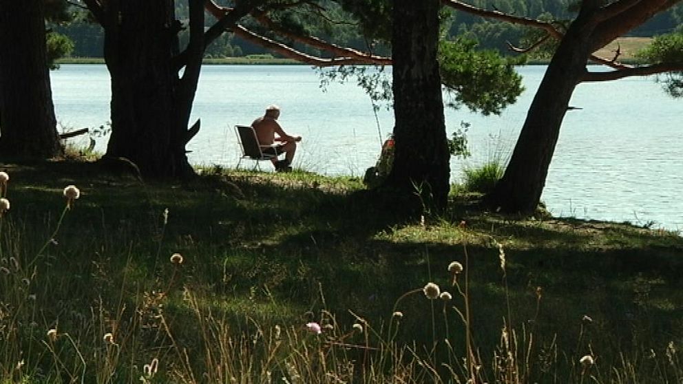 Man på stol skymtar mellan träd.