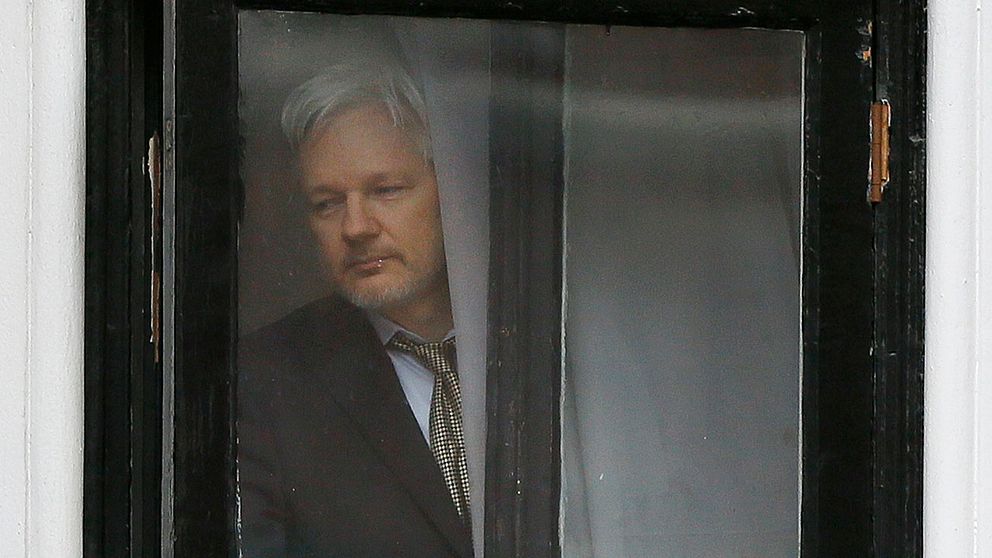 Julian Assange tittar ut genom ett fönster på ambassaden.