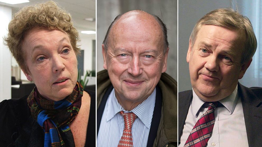 Skatteverkets överdirektör Helena Dyrrsen, den före detta toppdiplomaten Frank Belfrage och Skatteverkets generaldirektör Ingemar Hansson är före detta regeringskollegor.