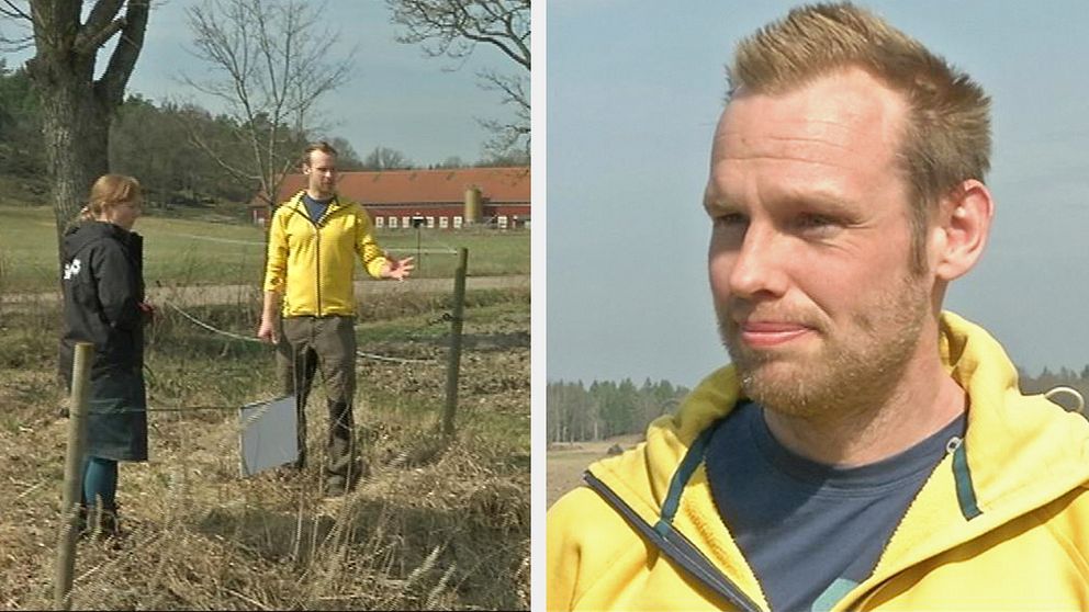 Dennis Wiström visar runt på Häckerstad gård utanför Gamleby