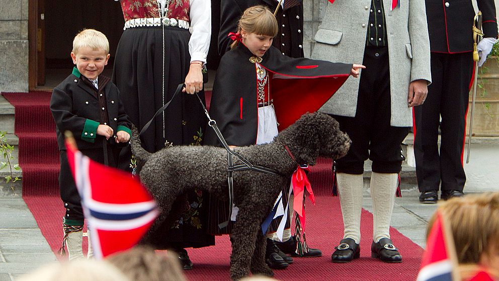 Prins Sverre Magnus, prinsessan Ingrid Alexandra och kronprinsfamiljens hund Milly Kakao hälsar på barntåget utanför Skaugum