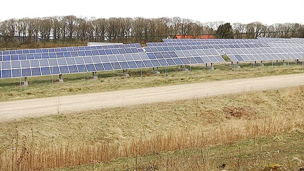 Sveriges i särklass största solkraftspark byggs längs E6 utanför Varberg.