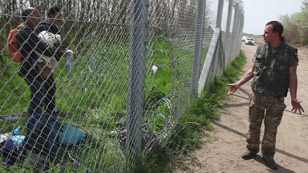 ”Go back home”, säger en medlem ur ett ungerskt medborgargarde till flyktingarna på den serbiska sidan av gränsen.