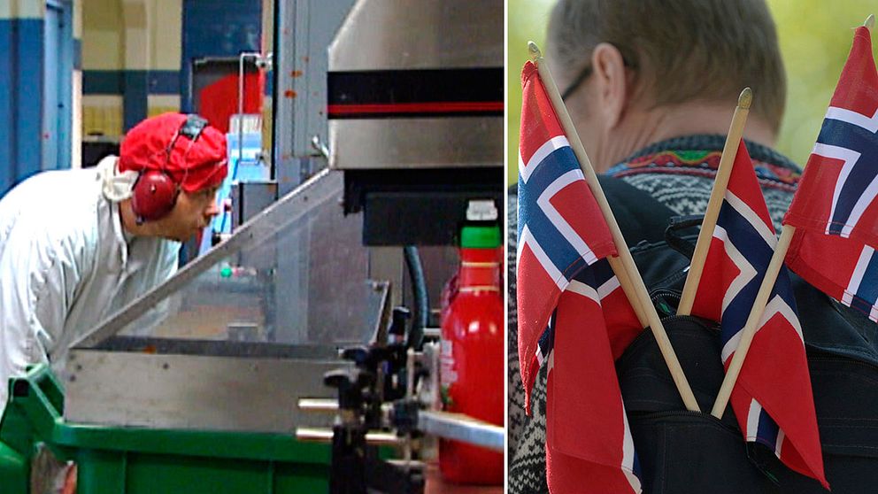 Nya jobb kan skapas i Fågelmara.