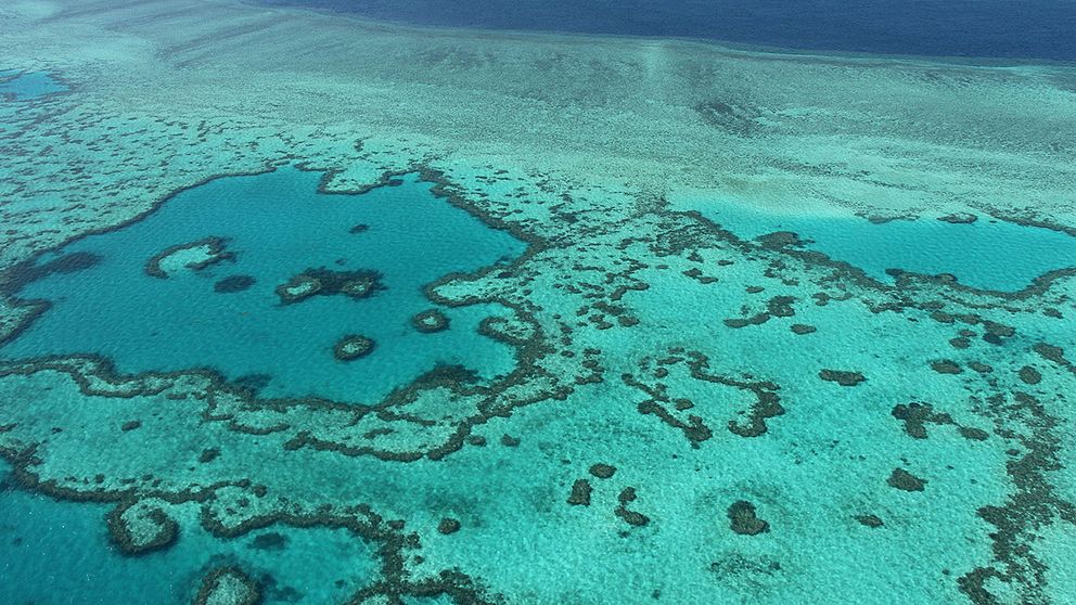 Great Barrier Reef