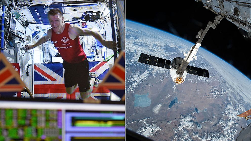 Den brittiske astronauten Tim Peake, 44, sprang på söndagen maraton i rymden.