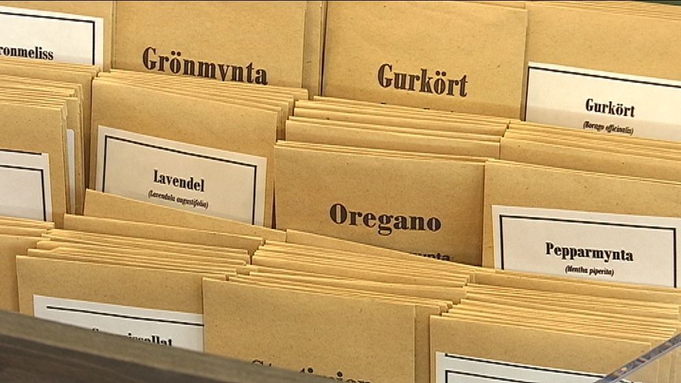 Fröbibliotek hjälper bin